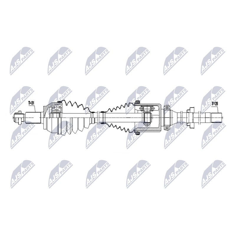 Planetara NTY NPW-LR-051