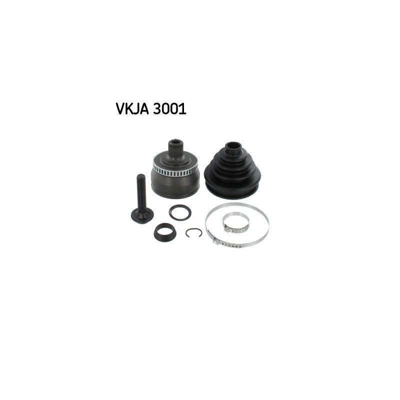 Kit cap planetara SKF VKJA 3001