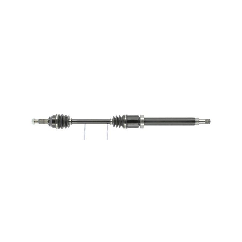 Planetara MTR 13216964
