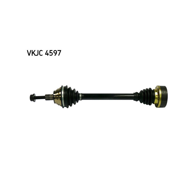 Planetara SKF VKJC 4597