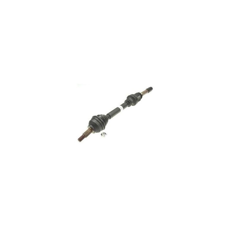 Planetara MTR 12161073