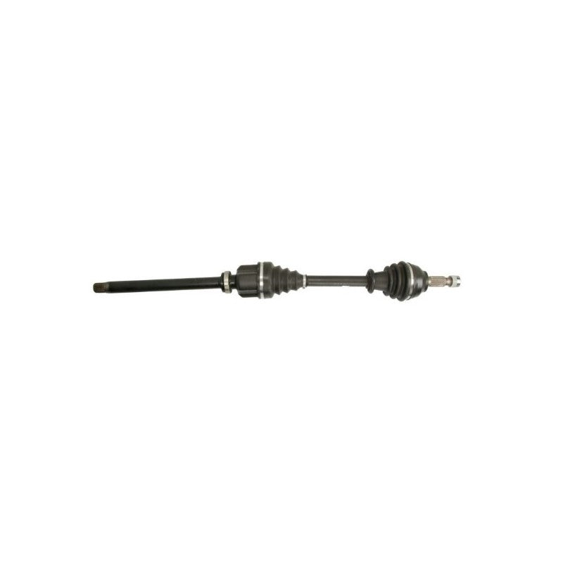 Planetara MTR 12220754