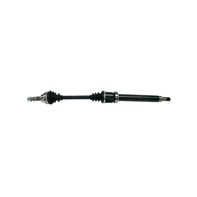 Planetara MTR 13216887