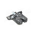 Broasca haion AIC 58224