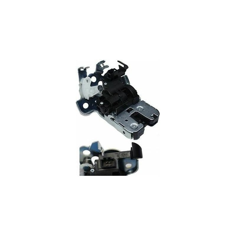 Broasca haion MTR 12191778