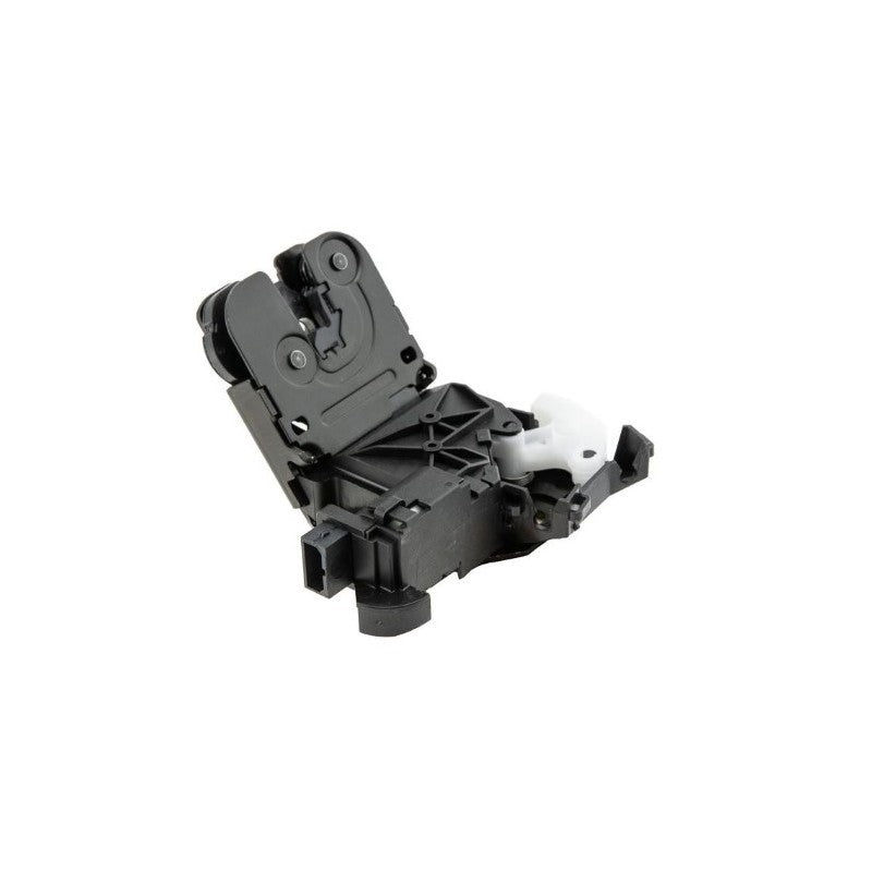 Broasca haion MTR 12203021