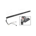 Motoras haion AIC 72854