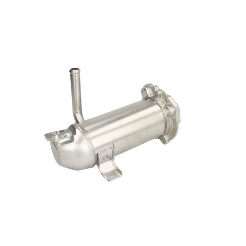 Racitor EGR MTR 12902270