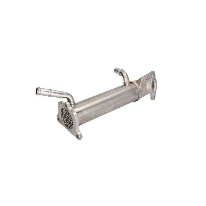 Racitor EGR MTR 12902268