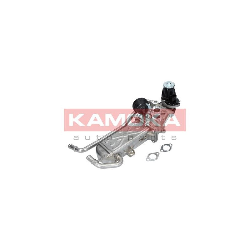 EGR Module KAMOKA 19070