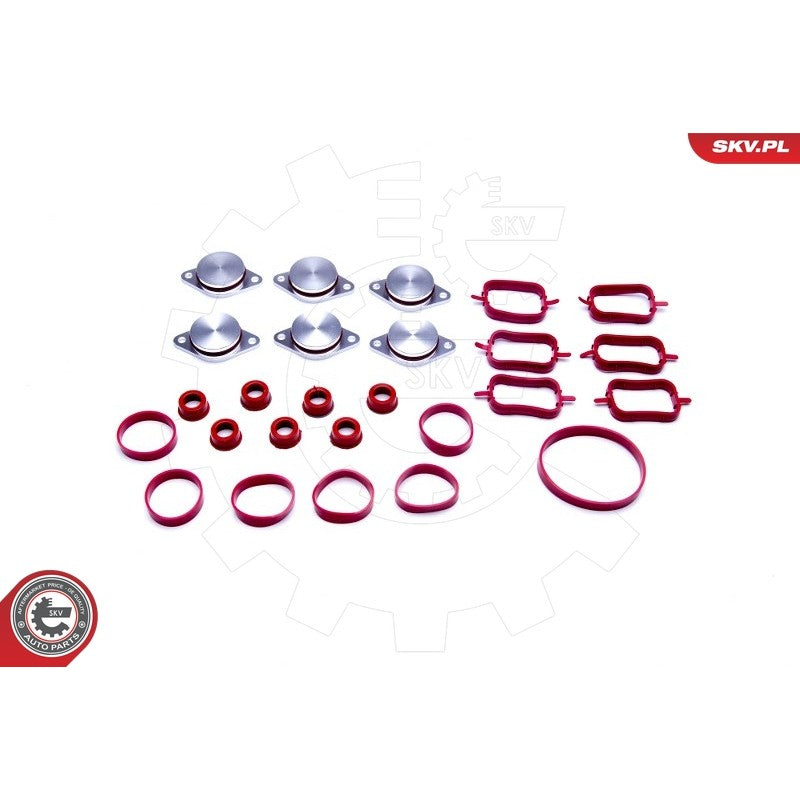 Set garnituri galerie admisie ESEN SKV 96SKV045