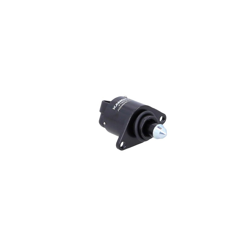 Supapa control ralanti KAMOKA 4190005