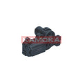 Supapa control ralanti KAMOKA 4190037