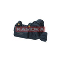 Supapa control ralanti KAMOKA 4190042