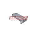 Racitor EGR KAMOKA 19C069