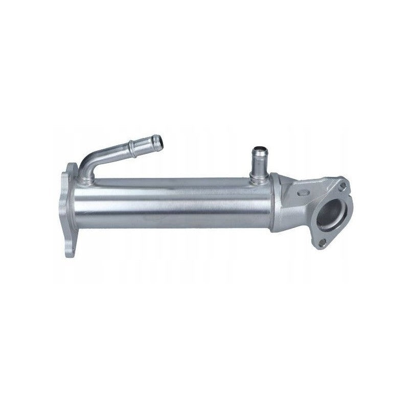 Racitor EGR MTR 12902267