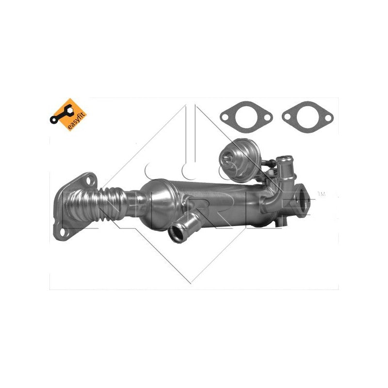 Racitor EGR NRF 48313
