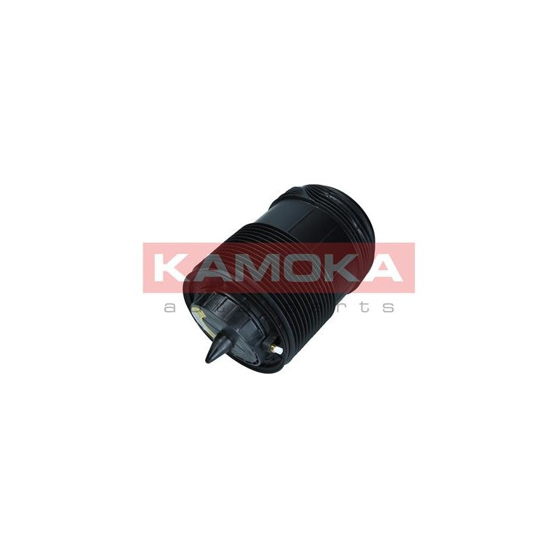 Perna aer suspensie KAMOKA 2079015