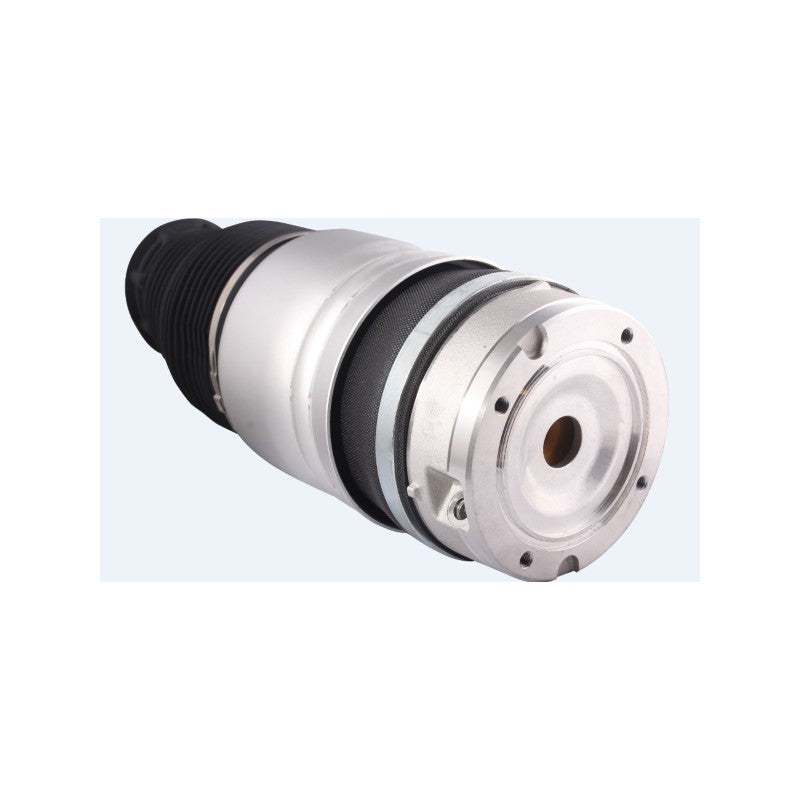 Perna aer suspensie MTR 12117124