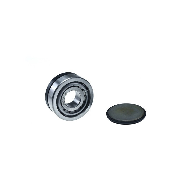 Kit reparatie pivot roti MTR 12119798
