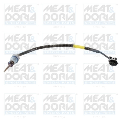 Senzor, temperatura gaze evacuare 12182 MEAT & DORIA