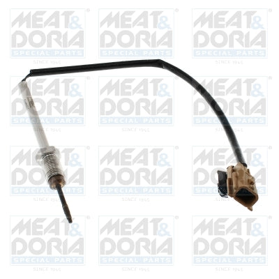 Senzor, temperatura gaze evacuare 12186E MEAT & DORIA