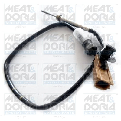 Senzor, temperatura gaze evacuare 12194 MEAT & DORIA