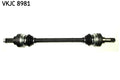 Planetara SKF VKJC 8981