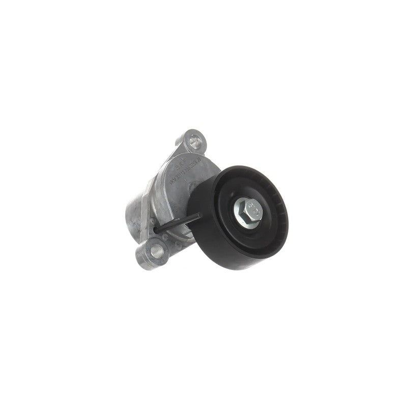 Intinzator curea accesorii SKF VKM 33113