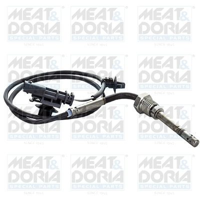 Senzor, temperatura gaze evacuare 12374 MEAT & DORIA