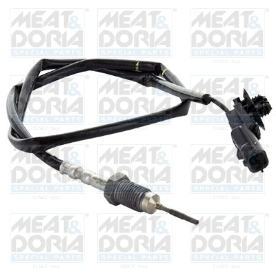 Senzor, temperatura gaze evacuare 12433 MEAT & DORIA
