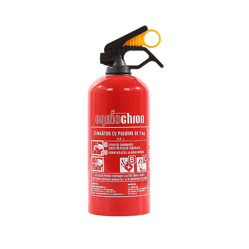 Stingator auto P1 Carmax 1kg - 1454