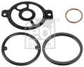 Garnituri, carcasa filtru ulei 172935 FEBI BILSTEIN