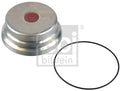 capac de protectie,butuc roata 173100 FEBI BILSTEIN