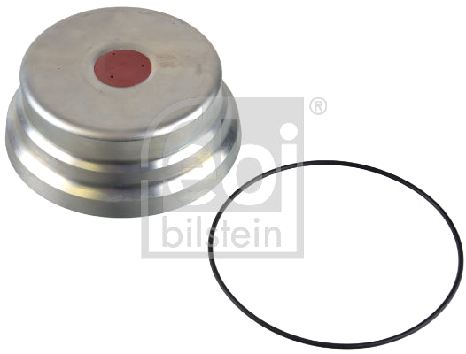 capac de protectie,butuc roata 173100 FEBI BILSTEIN