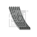 Curea transmisie caneluri FEBI BILSTEIN 176704