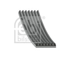 Curea transmisie cu caneluri 177663 FEBI BILSTEIN