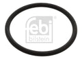 Garnitura termostat 17966 FEBI BILSTEIN