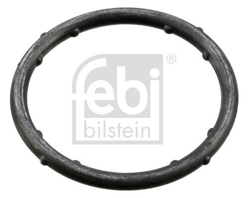 Garnitura, flansa lichid racire 18766 FEBI BILSTEIN
