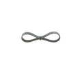 Curea transmisie cu caneluri 1 987 945 731 BOSCH