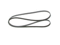 Curea transmisie cu caneluri 1 987 946 079 BOSCH