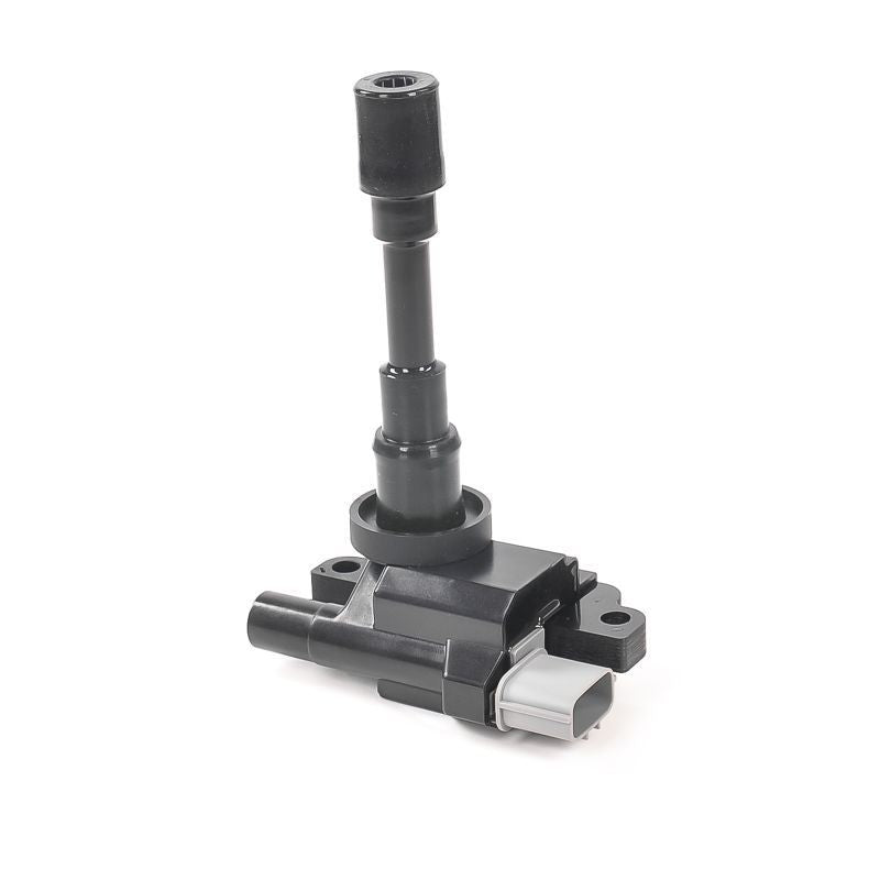 Bobina de inductie GN10318-12B1 DELPHI