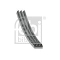 Curea transmisie caneluri FEBI BILSTEIN 28744