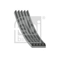 Curea transmisie caneluri FEBI BILSTEIN 28889