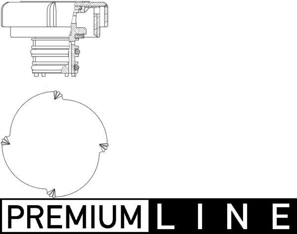 Buson vas expansiune MAHLE CRB 21 000P