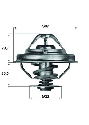 Termostat MAHLE TX 38 80D
