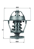 termostat,lichid racire TX 68 88D MAHLE