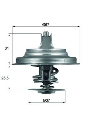 Termostat MAHLE TX 25 87D