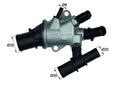 termostat,lichid racire TI 170 88 MAHLE