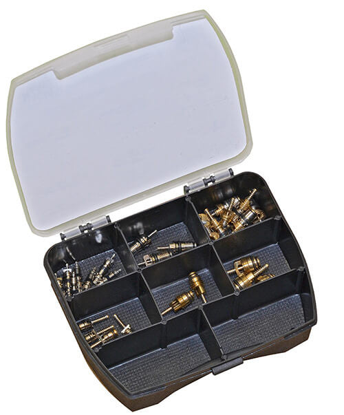 Supape service aer conditionat MAGNETI MARELLI 42 buc Tip gaz : R134A/R1234yf - 007936210050